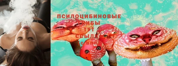 эйфоретик Горняк