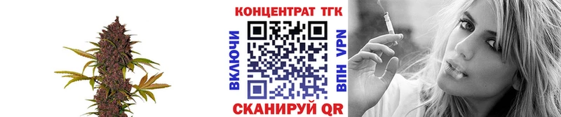 ТГК гашишное масло  где найти наркотики  Бабаево 