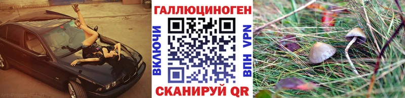 Псилоцибиновые грибы GOLDEN TEACHER  блэк спрут онион  Бабаево  цена наркотик 