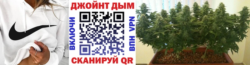 купить закладку  Бабаево  Конопля марихуана 
